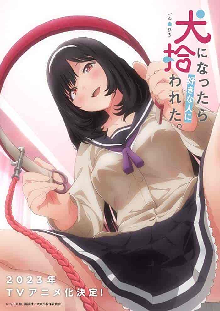 انمي .Inu ni Nattara Suki na Hito ni Hirowareta الحلقة 5 الخامسة مترجمة